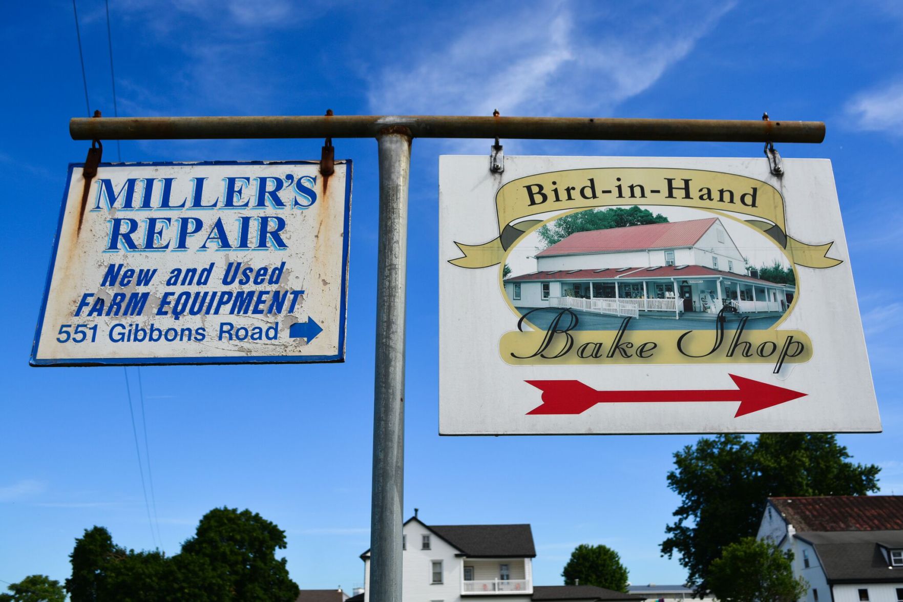 signs2.jpg